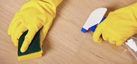 How to Clean a Sponge - Maids By Trade